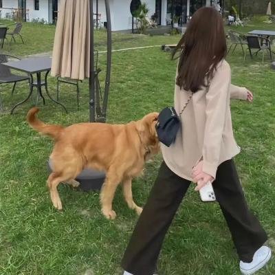 恋人之城